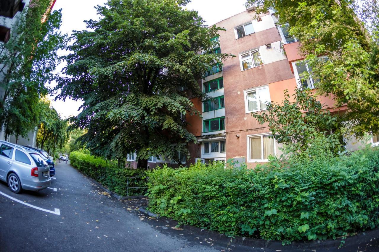 Apartament Family Rivulus 10 Μπάια Μάρε Εξωτερικό φωτογραφία